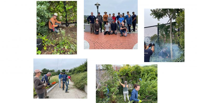 Dassault Systemes Day of Service